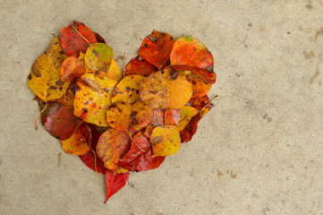 Leaves in a heart on concrete, background