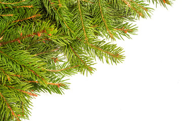 Christmas background. Eve framework