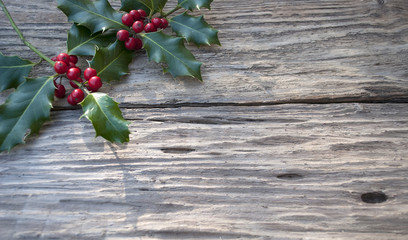 Stechpalme, Ilex Zweig mit roten Beeren auf altem Treibholz / Holz Brett 