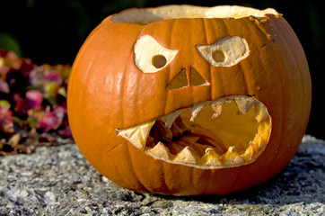 Yellow halloween pumpkin.Beautiful scary Halloween pumpkin lying on stone.