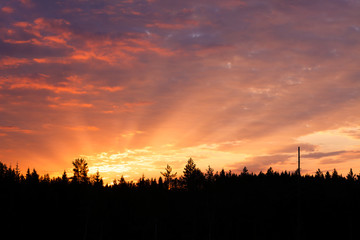 Obraz premium Sunrise over forest sun rays