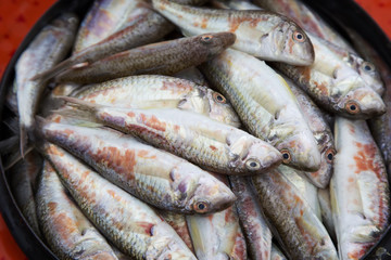 Obraz premium Raw fish, surmullet - Crimean delicacy