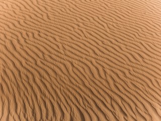 in the sahara of morocco