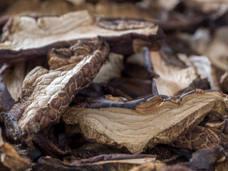 Dried bolete mushrooms