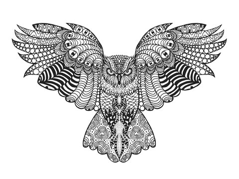 Zentangle stylized eagle owl.