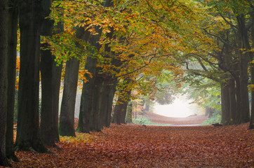 Lievensberg Bergen op Zoom