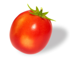Tomatoes