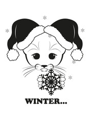 Totono and showflake