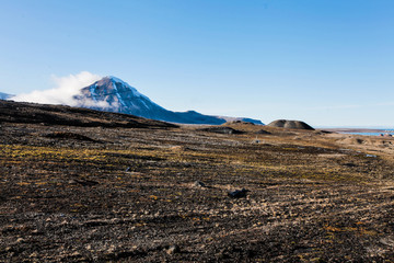 Tundra in svalbard