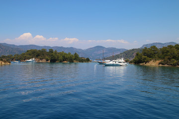 The photograph picturesque sea bay. In the background visible mountains.