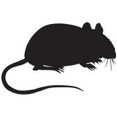 Silhouette mouse-vector