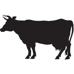 Silhouette of a cow