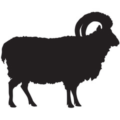 Silhouette of a sheep or ram-vector