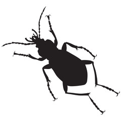 Silhouette of beetle-vector
