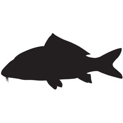 Silhouette of a carp koi-vector