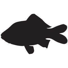 Silhouette of a crucian carp-vector