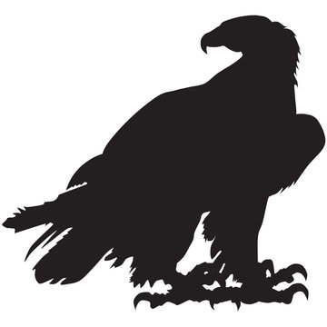 recommend clip art: Silhouette of eagle-vector