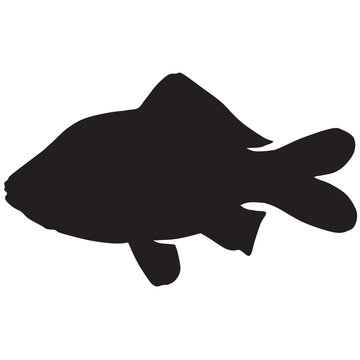 recommend clip art: Silhouette of a crucian carp-vector
