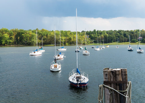 several sailboats, anchored in bay of lake
