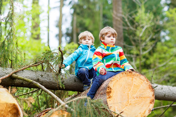 Two little kid boys playing in forest on cold day