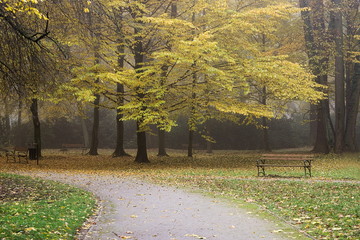 Jesień w parku.