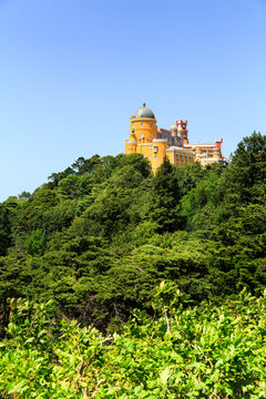 Castle on the hill