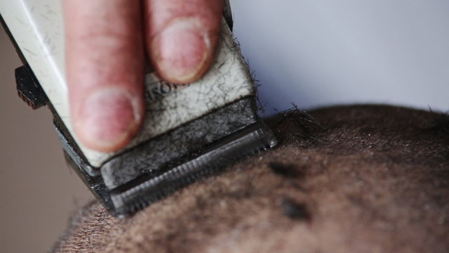 young man in a barber shaved shorn