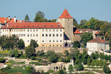 Prague Castle - obrazy, fototapety, plakaty