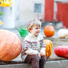 Fototapeta premium Little kid sitting with lots of pumpkins on patch farm