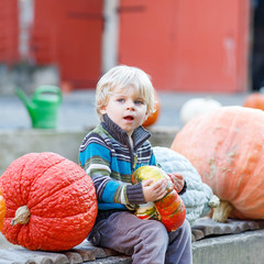 Fototapeta premium Little kid sitting with lots of pumpkins on patch farm