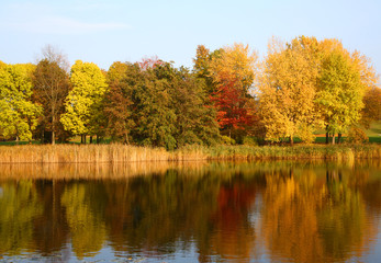 Fototapeta premium Jesienny krajobraz