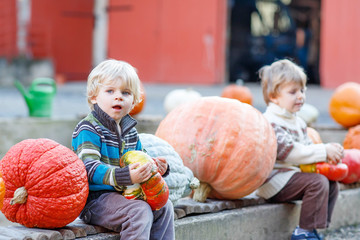 Two little kids sitting with lots of pumpkins on patch farm