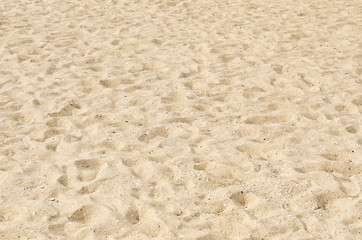 sand on beach as background