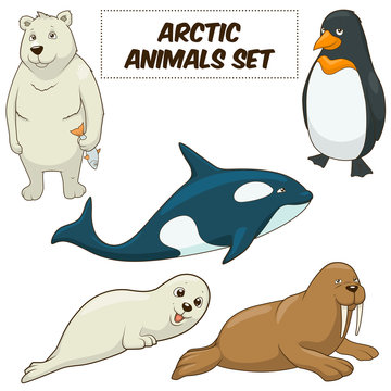 Cartoon Arctic Animals Set Vector