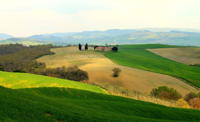 Fototapeta premium paesaggi toscani