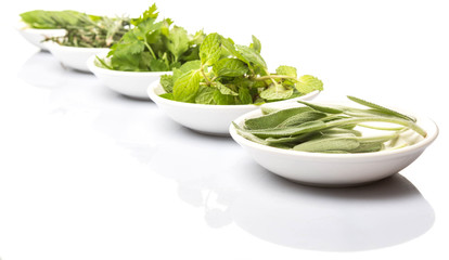 Basil leaves, rosemary. mint, parsley and sage leaves herbs in white bowl over white background