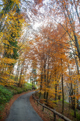 Fototapeta premium strada