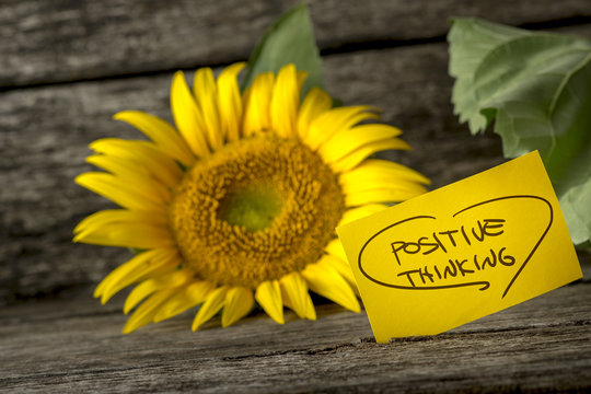 Positive thinking message next to a beautiful blooming yellow su