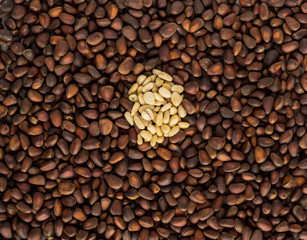 Cleared nuts on background unpeeled nuts