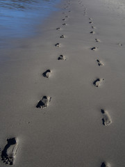Footprints along otherwise smooth sand at Rialto Beach