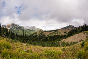 Landscape photo of Hurricane Ridge at Olympic National Park in W