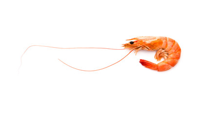 shrimp on a white background