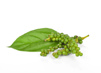 Green pepper isolated on white background.