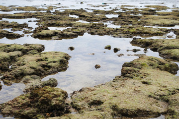 Coastline there are many rocks after low tide