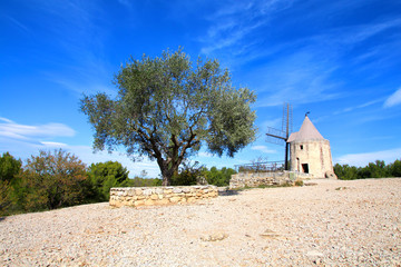 Moulin de Daudet à Fontvieille / Provence (France)