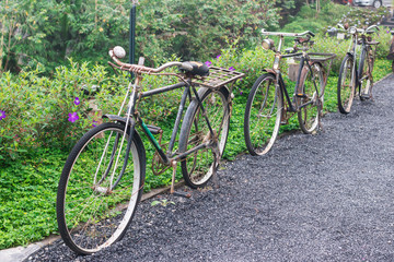 Fototapeta na wymiar old bike in Resort 