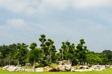 Fototapeta premium Thai Buddha Garden