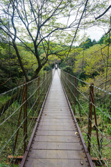 Suspension bridge of the Surugadaira nature park,Shizuoka Japan
