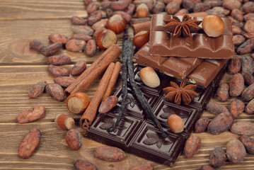 Chocolate, cocoa beans and spices