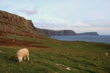 Obraz premium Isola di Skye, Scozia